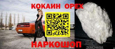 бошки Гай
