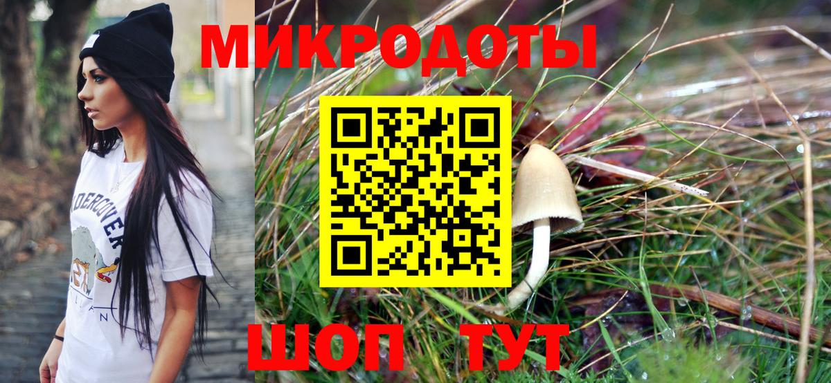 Псилоцибиновые грибы мицелий Скопин